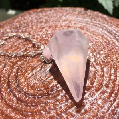 Pendulum Workshop